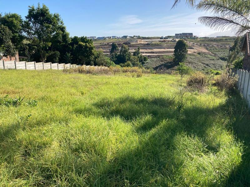 0 Bedroom Property for Sale in Rooi Rivier Rif Western Cape